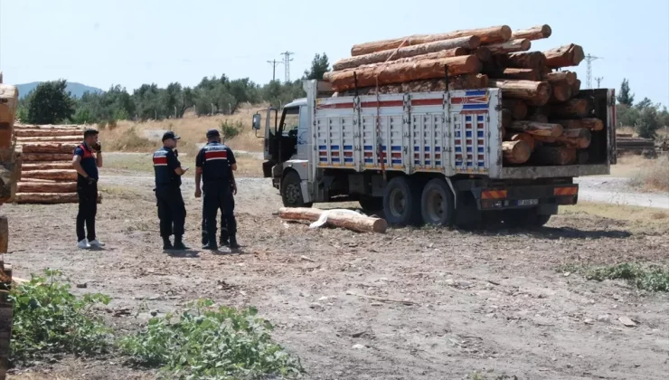 Çanakkale’de Tomruk Kazası: Kamyon Sürücüsü Hayatını Kaybetti