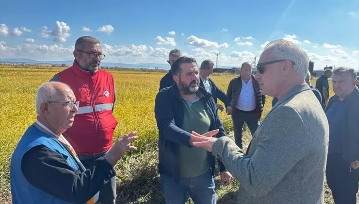 Çanakkale Biga’da Dolu Yağışı Sonrası Tarım Arazilerinde Büyük Zarar